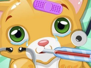 Kitten Clinic: Pet Wellness Adventure