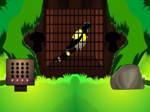 Feathered Friend Rescue: Puzzle Journey