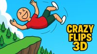Crazy Flips 3D Online Game