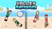Volley Random Online Game